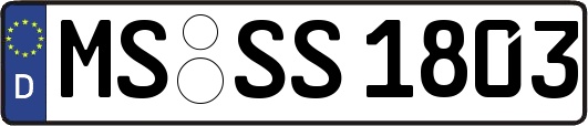 MS-SS1803