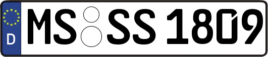 MS-SS1809