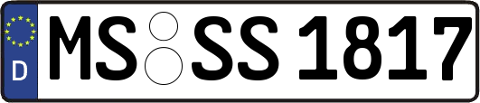 MS-SS1817