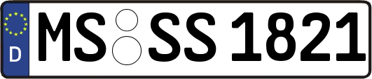 MS-SS1821