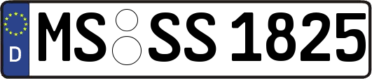 MS-SS1825