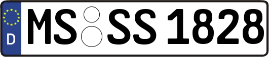 MS-SS1828