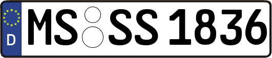 MS-SS1836