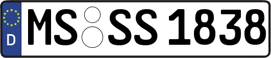 MS-SS1838