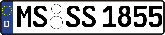 MS-SS1855