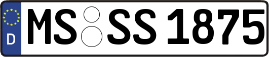 MS-SS1875