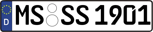 MS-SS1901