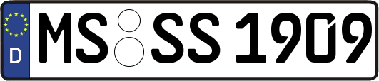 MS-SS1909