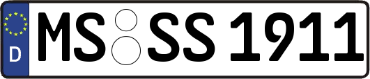 MS-SS1911