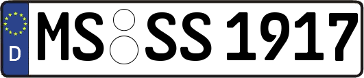 MS-SS1917