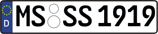 MS-SS1919