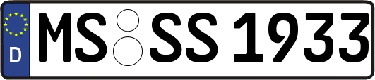 MS-SS1933