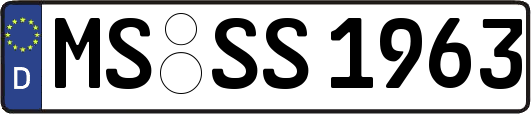 MS-SS1963