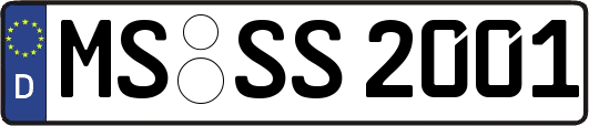 MS-SS2001