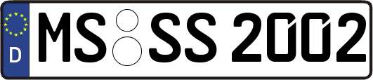 MS-SS2002