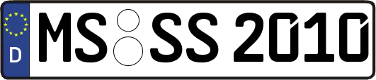 MS-SS2010