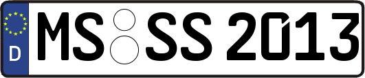 MS-SS2013