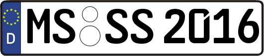 MS-SS2016