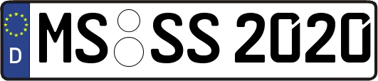 MS-SS2020