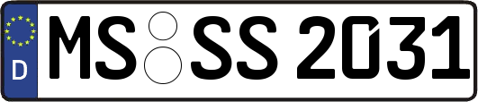 MS-SS2031