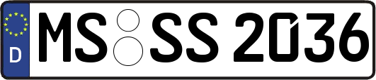 MS-SS2036