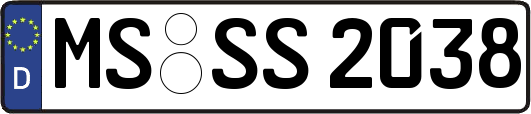 MS-SS2038