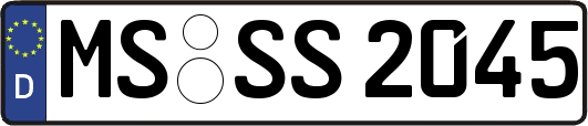 MS-SS2045