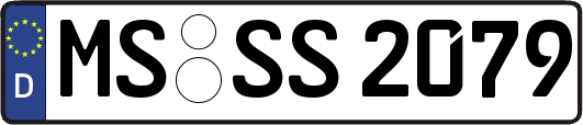 MS-SS2079