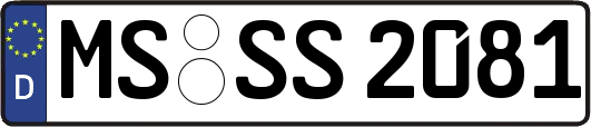 MS-SS2081