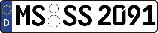 MS-SS2091