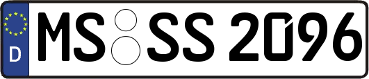 MS-SS2096