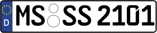 MS-SS2101