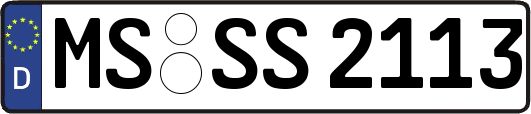 MS-SS2113
