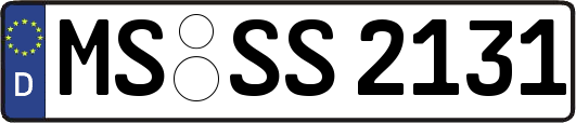 MS-SS2131