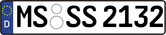 MS-SS2132