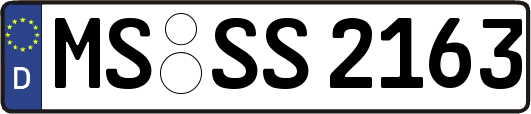 MS-SS2163