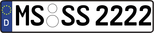 MS-SS2222
