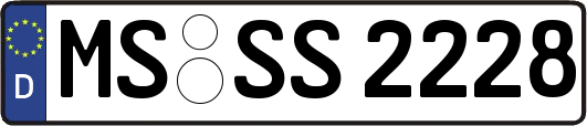 MS-SS2228