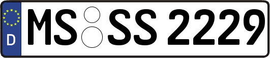 MS-SS2229
