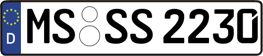 MS-SS2230