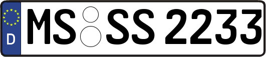 MS-SS2233