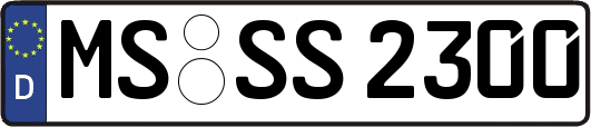 MS-SS2300
