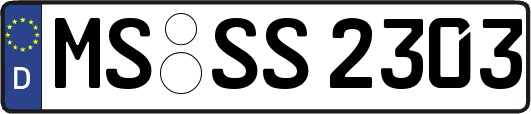 MS-SS2303