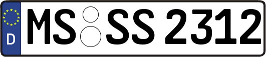 MS-SS2312
