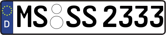 MS-SS2333
