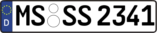 MS-SS2341