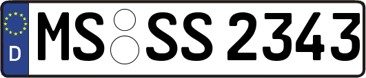 MS-SS2343