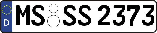 MS-SS2373