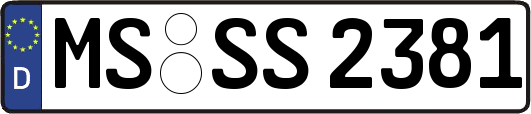 MS-SS2381