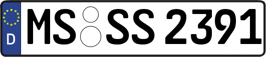 MS-SS2391